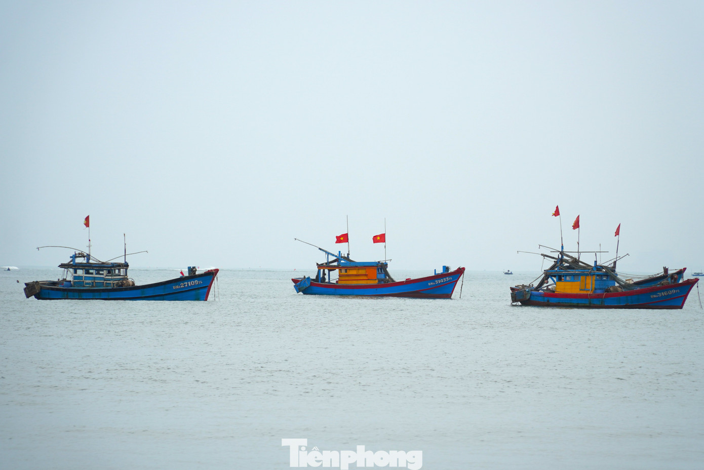 Những chiếc ghe thuyền nhỏ này thường đi đánh bắt gần bờ, có chiếc đi sau một đêm đã trở về. Hầu hết thuyền đánh các loại cá nhỏ như cá nục, cá phèn, cá bã trầu, tôm, mực....