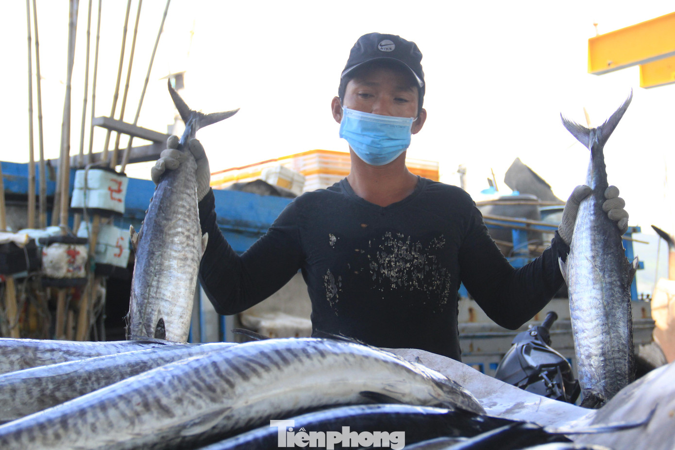 “Bán hết cá xong tôi sẽ đi gửi tàu, chứ giá dầu trên trời thế này ra khơi chỉ có nước lỗ thôi! Đợi khi nào dầu hạ mới tính chuyện ra khơi”, ngư dân Phạm Thanh Tâm, quê Quảng Ngãi than thở. “Bán hết cá xong tôi sẽ đi gửi tàu, chứ giá dầu trên trời thế này ra khơi chỉ có nước lỗ thôi! Đợi khi nào dầu hạ mới tính chuyện ra khơi”, ngư dân Phạm Thanh Tâm, quê Quảng Ngãi than thở.