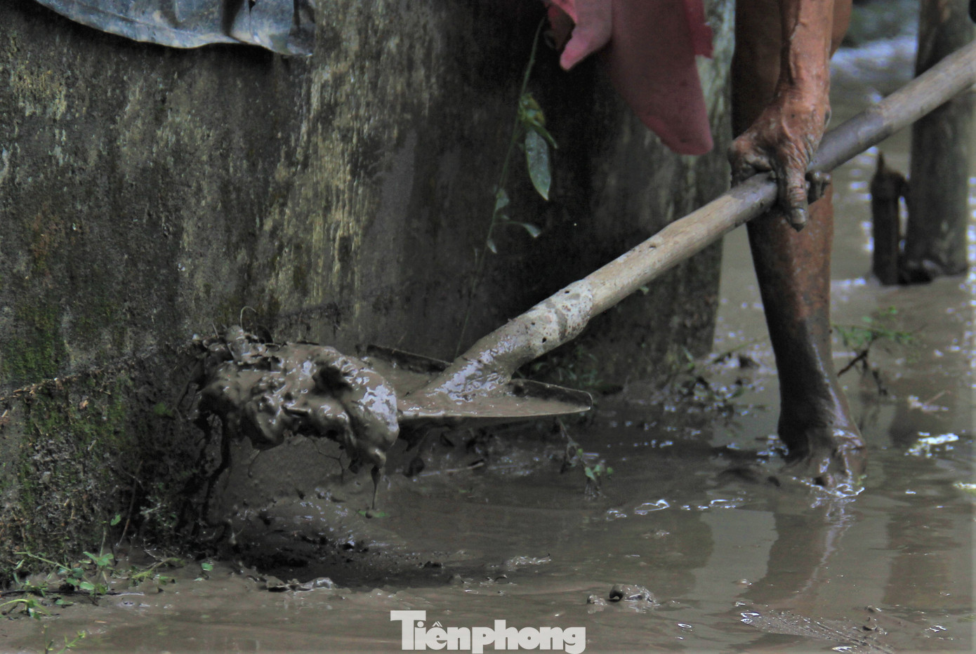 Bùn đen dẻo đặc bủa vây các con đường khiến người dân đi lại khó khăn.