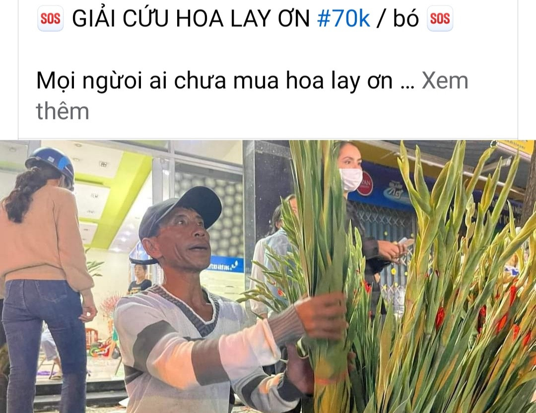 Trên mạng xã hội cũng có rất nhiều bài viết kêu gọi mọi người mua hoa hỗ trợ giúp những người buôn khi Tết đã đến gần.