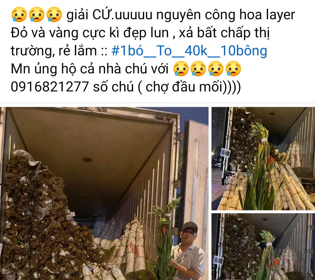 Trên mạng xã hội cũng có rất nhiều bài viết kêu gọi mọi người mua hoa hỗ trợ giúp những người buôn khi Tết đã đến gần.