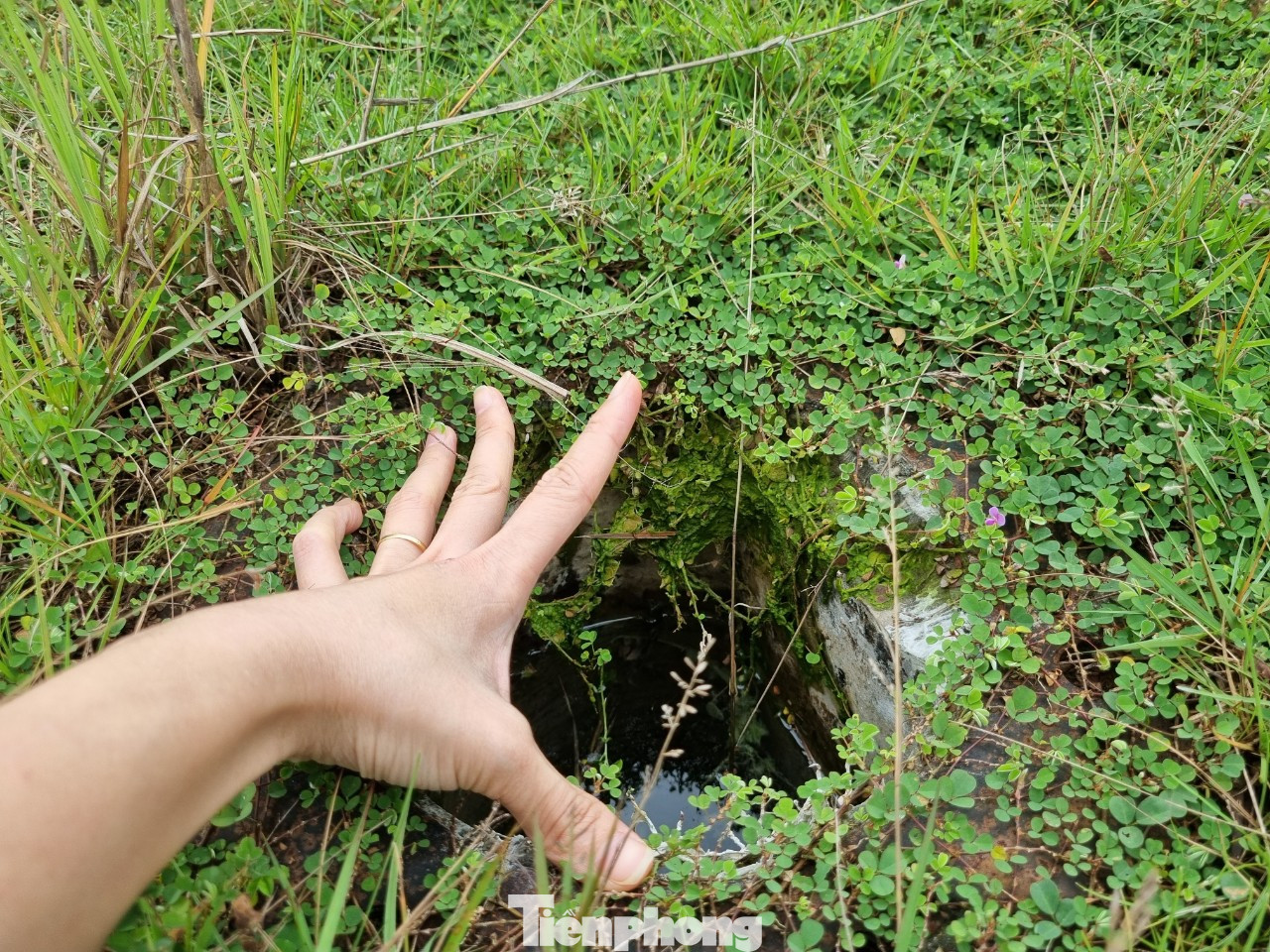 Trao đổi với Tiền Phong, ông Nguyễn Hoà, Chủ tịch UBND quận Ngũ Hành Sơn cho hay sẽ cử lực lượng tới kiểm tra trong thời gian sớm nhất.