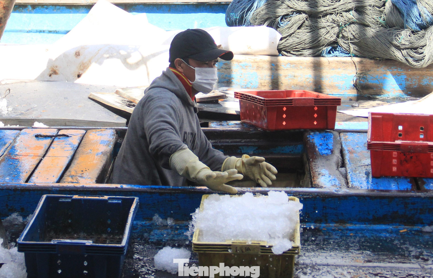 Anh Nguyễn Thanh Huy, thuyền trưởng tàu ĐNa 90357 cho hay chuyến vừa rồi đi gần 1 tháng với 10 thuyền viên, nhưng về chia mỗi người chưa được chục triệu đồng vì giá dầu cao, chi phí lớn, lại đánh bắt không thuận như mọi năm. Anh Nguyễn Thanh Huy, thuyền trưởng tàu ĐNa 90357 cho hay chuyến vừa rồi đi gần 1 tháng với 10 thuyền viên, nhưng về chia mỗi người chưa được chục triệu đồng vì giá dầu cao, chi phí lớn, lại đánh bắt không thuận như mọi năm.