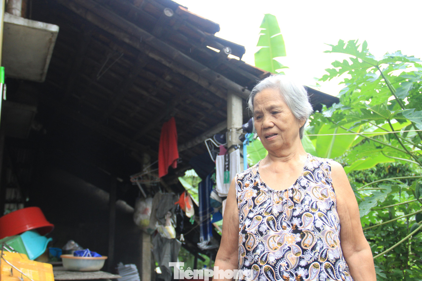 Nhiều hộ có người già, nhà cửa không kiên cố, rất nguy hiểm khi bão đổ bộ.