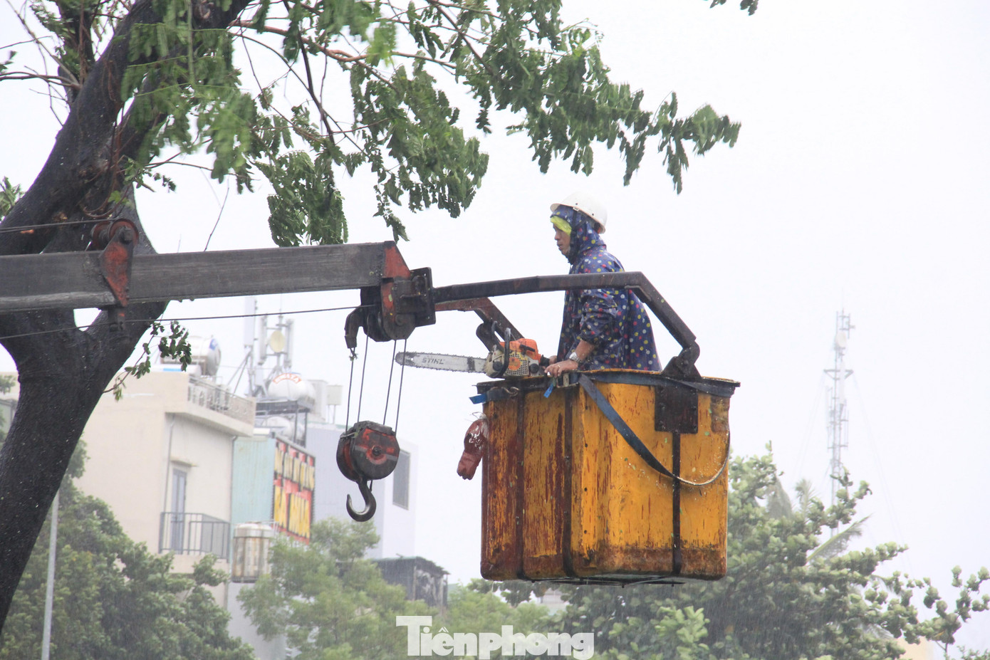 Công nhân đầm mình giữa mưa gió.