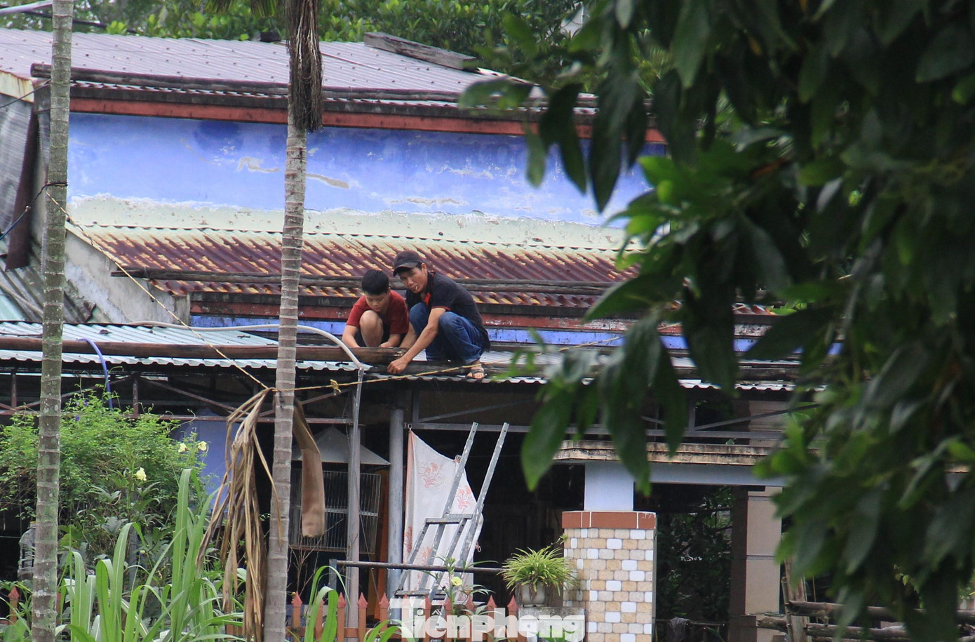 Người dân huyện Hòa Vang gia cố lại mái nhà. Trên địa bàn rất nhiều nhà lợp mái tôn, mái ngói, xây dựng từ lâu.