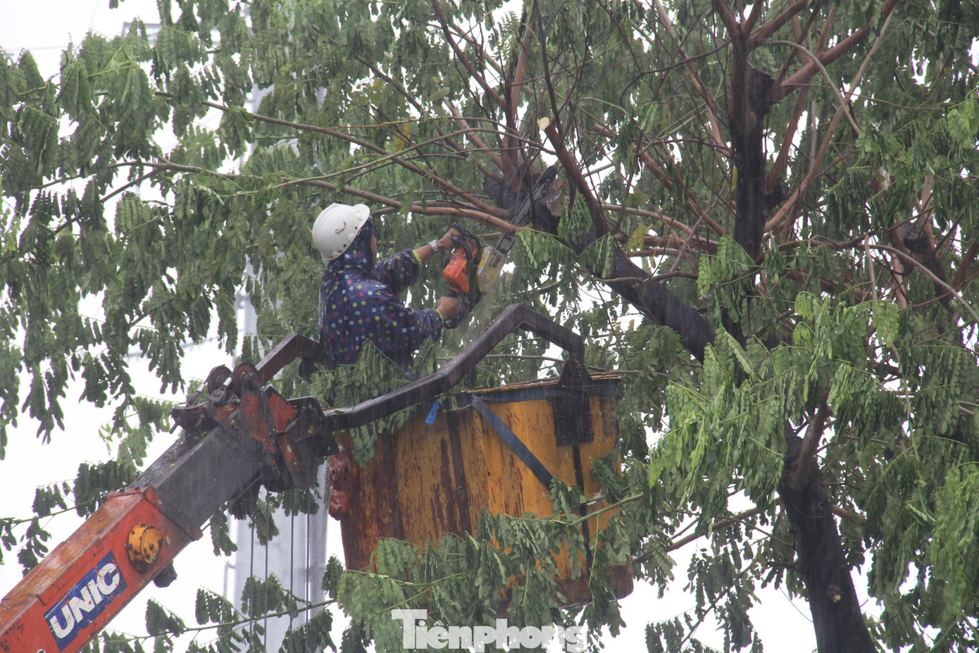 Trên một số tuyến đường khác, các nhóm công nhân đang tất bật cắt tỉa cây xanh, đề phòng đổ gãy nguy hiểm cho người đi đường.