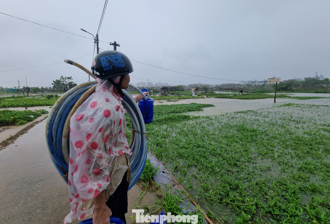 Nông dân bất lực nhìn nước dâng cao. Làng rau nằm ven sông Cẩm Lệ, nếu mưa càng to nước sông tràn vào thì sẽ ngập lâu hơn nữa. Ảnh: Thanh Hiền.