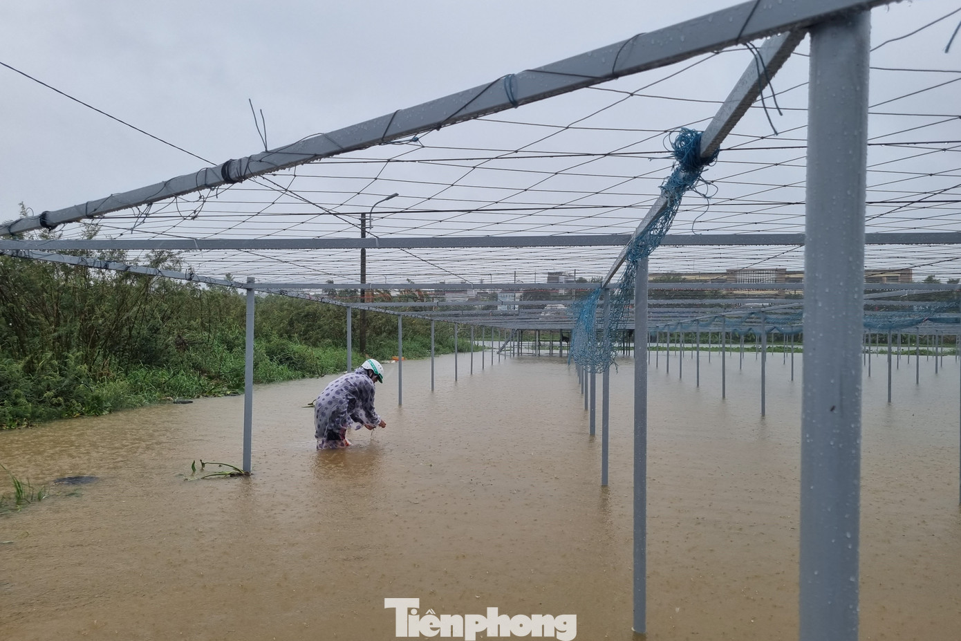 Người dân xót của, đi gỡ lại lưới, ống, nông cụ đem về. Ảnh: Thanh Hiền.