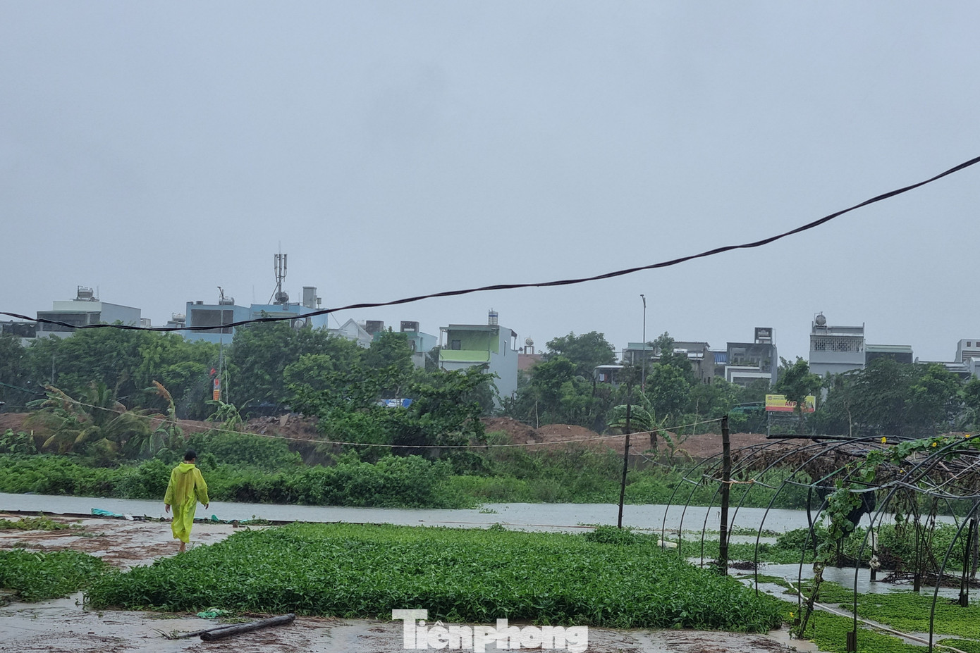 Người dân xót của, đi gỡ lại lưới, ống, nông cụ đem về. Ảnh: Thanh Hiền.