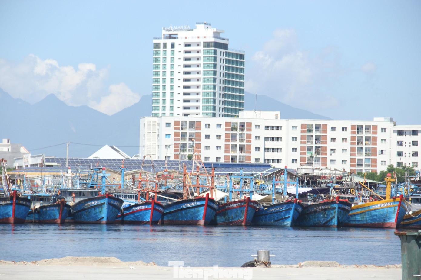 Hầu hết các tàu cá vẫn neo đậu, chưa ra khơi vì cần có thời gian kiểm tra tàu, mua lương thực thực phẩm, tiếp nhiên liệu…và quan trọng nhất là không đủ lao động.