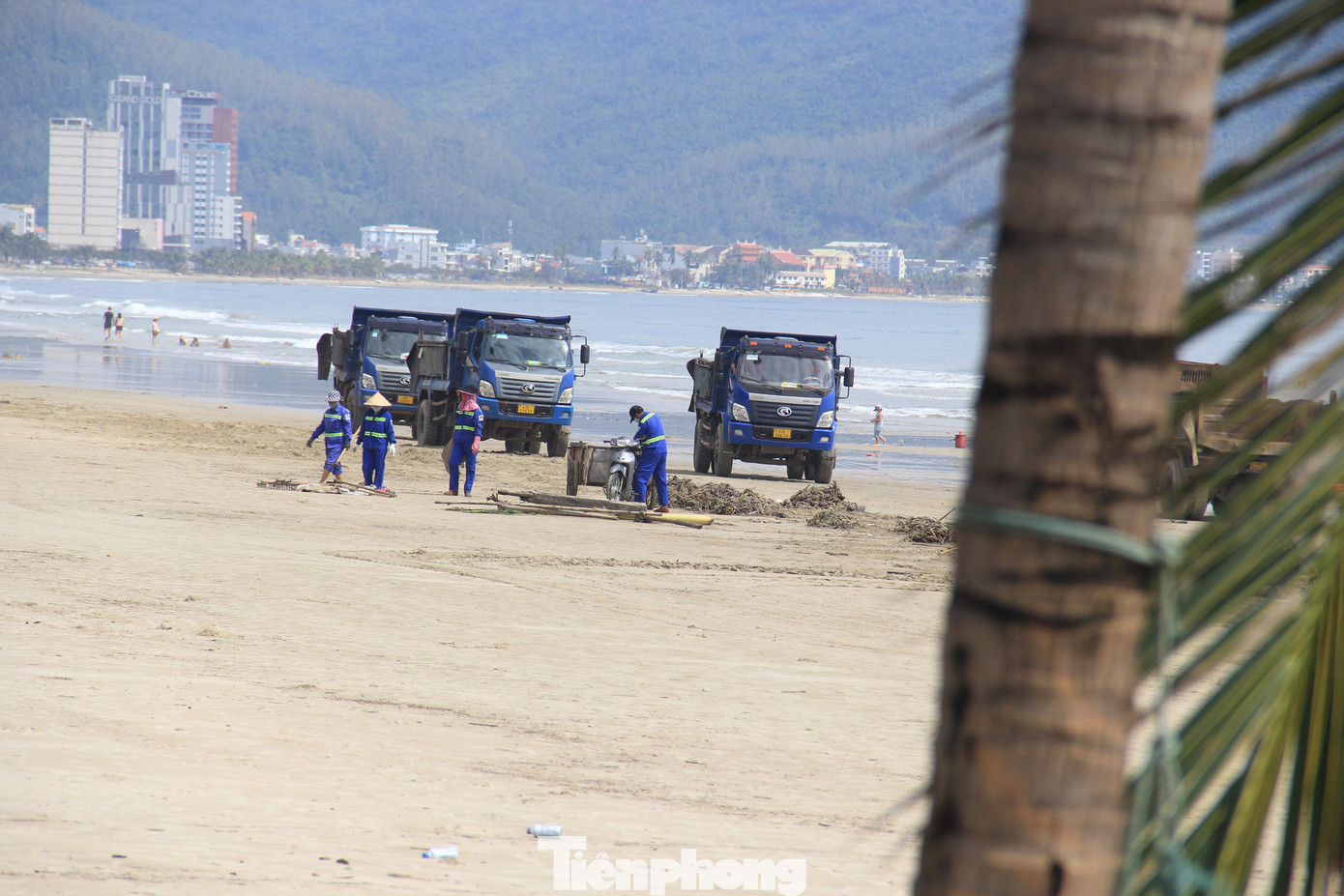 Công nhân vẫn tất bật dọn vệ sinh một số nơi còn xác bèo trên bãi biển. Công nhân vẫn tất bật dọn vệ sinh một số nơi còn xác bèo trên bãi biển.