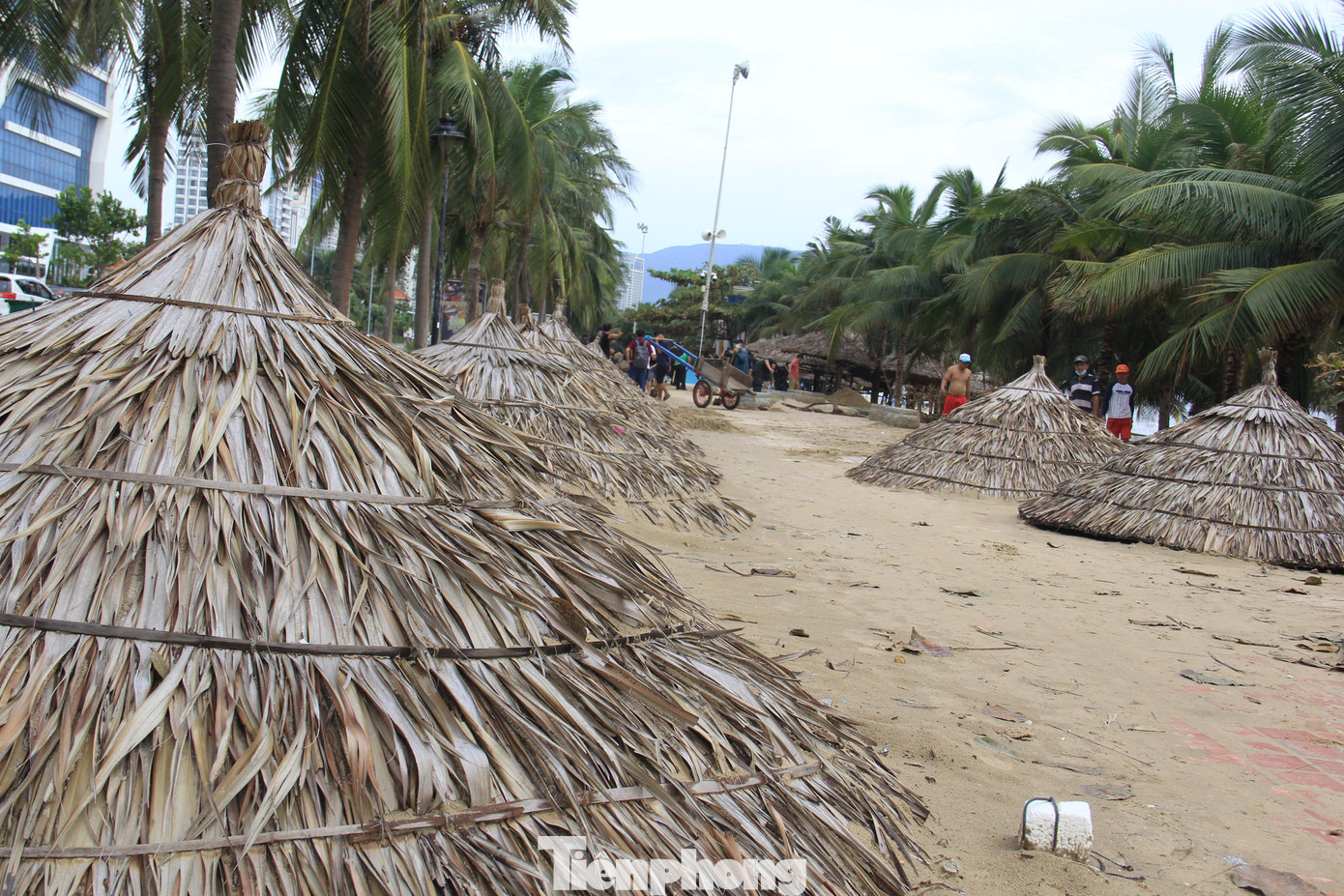 Mái ô của các hộ kinh doanh ven biển nằm ngổn ngang sau bão. Hiện dọc tuyến biển du lịch chỉ còn một đoạn ở bãi biển Mỹ Khê đang dọn dẹp. Mái ô của các hộ kinh doanh ven biển nằm ngổn ngang sau bão. Hiện dọc tuyến biển du lịch chỉ còn một đoạn ở bãi biển Mỹ Khê đang dọn dẹp.