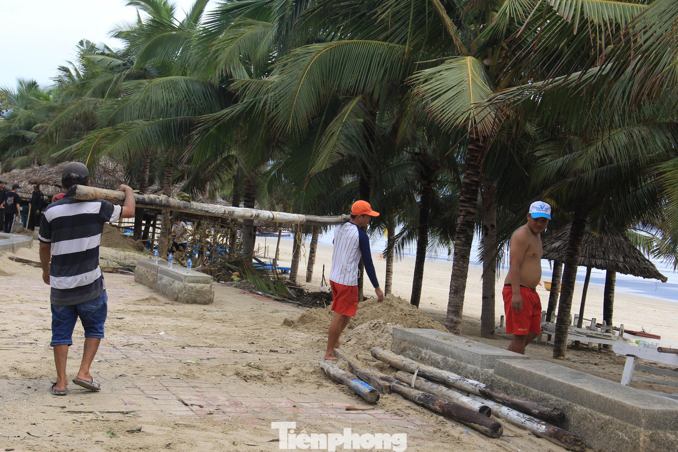 Ông Vũ cho biết thêm, BQL và các lực lượng tập trung dọn dẹp ở các bãi biển trung tâm, đông du khách qua lại. Hiện tại cơ bản tuyến biển đã sạch đẹp, gọn gàng. Ông Vũ cho biết thêm, BQL và các lực lượng tập trung dọn dẹp ở các bãi biển trung tâm, đông du khách qua lại. Hiện tại cơ bản tuyến biển đã sạch đẹp, gọn gàng.