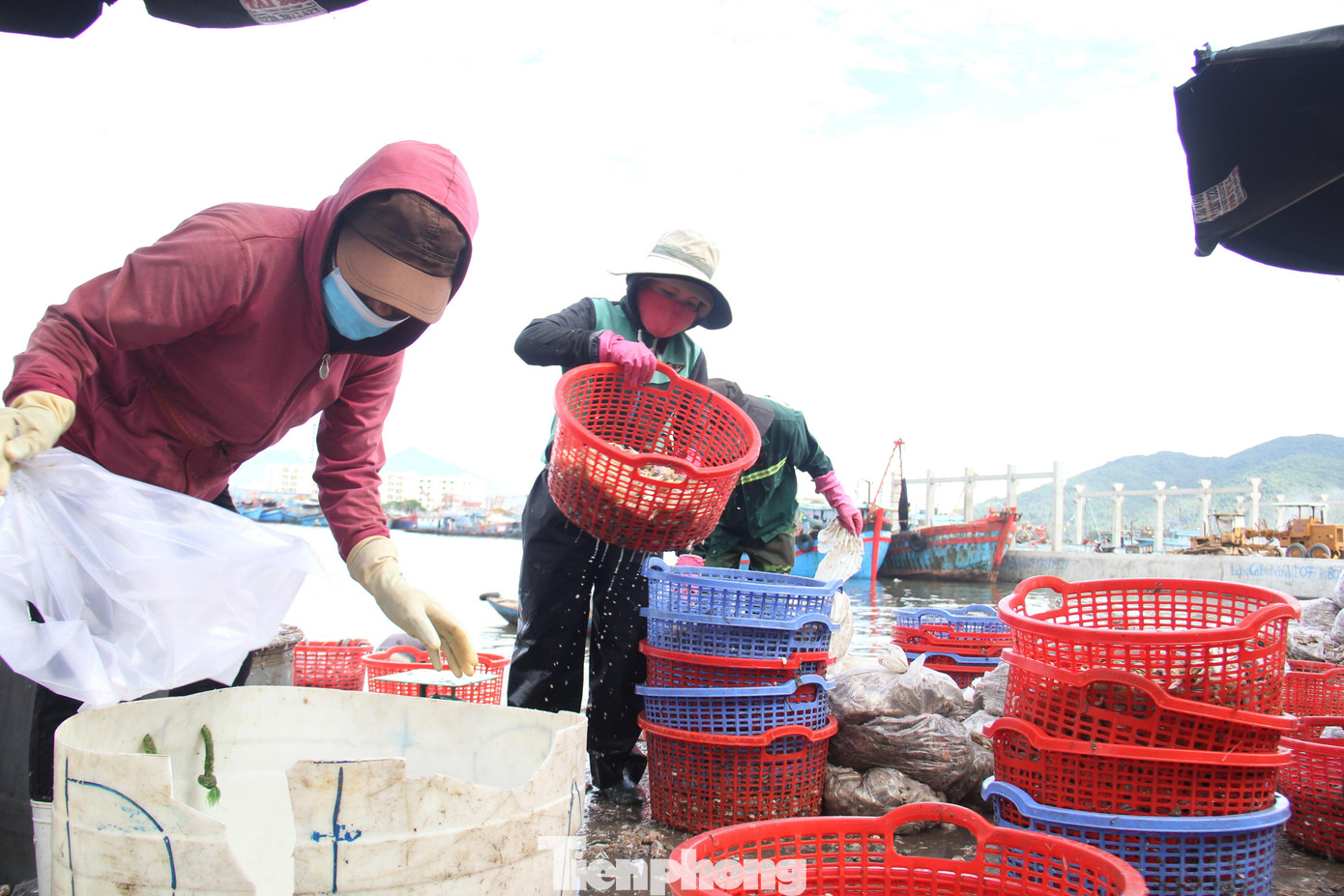 “Do tâm lý người dân Đà Nẵng thích ăn đồ tươi, nên chúng tôi ưu tiên đẩy mặt hàng hải sản tươi sống đi hết. Số hàng đông lạnh nếu còn thì trữ trong kho, không lo gì cả. Sau 12h trưa nay dọn dẹp hàng xong xuôi, chúng tôi sẽ về nghỉ, không quay lại cảng cho đến khi được mở cửa trở lại”, một người buôn bán cá tại cảng chia sẻ.