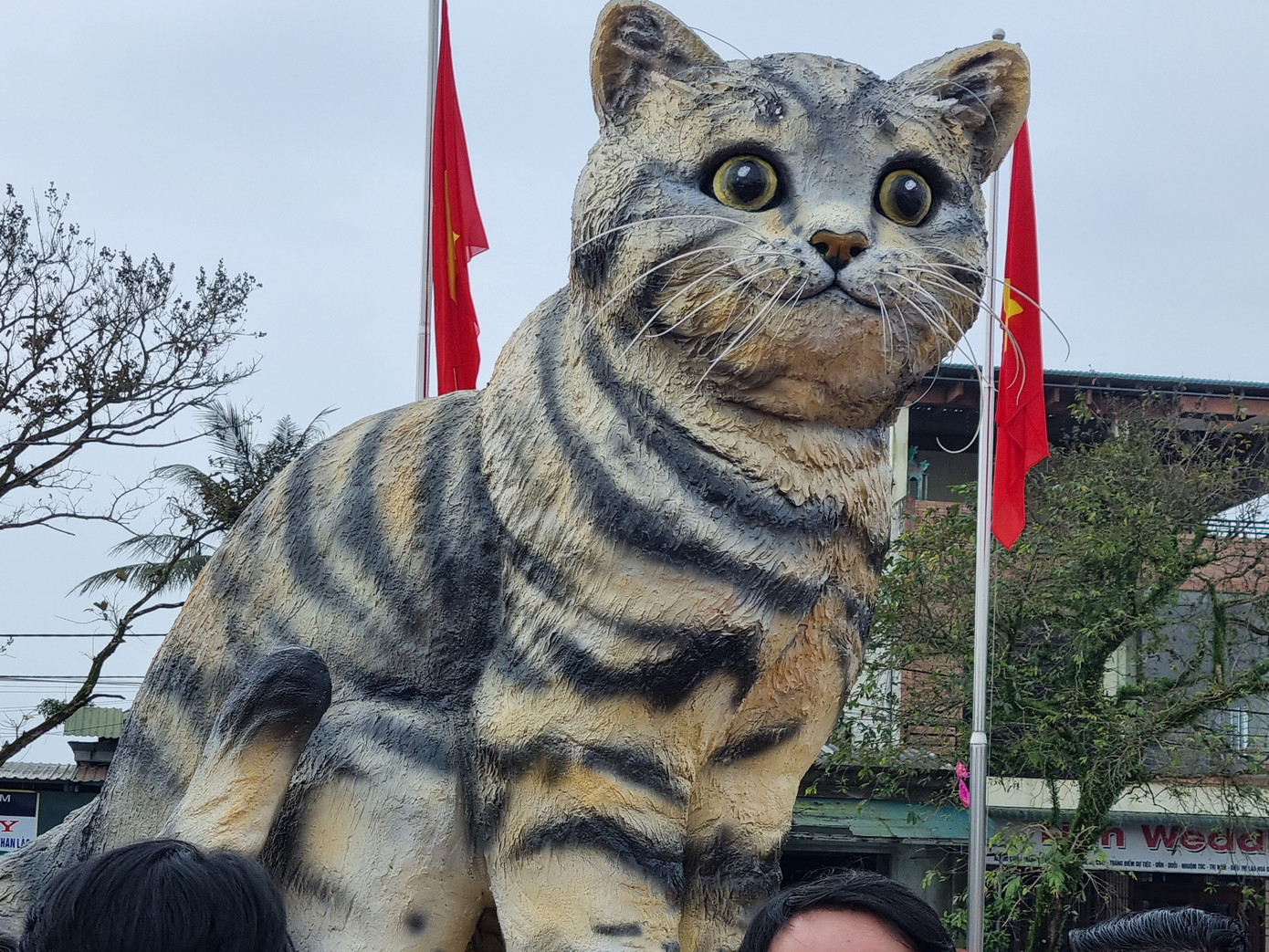 Linh vật mèo này được chế tác bởi nghệ nhân Đinh Văn Tâm (trú xã Triệu Độ, huyện Triệu Phong). Chi phí để hoàn thiện chú mèo này là 31 triệu đồng. Ảnh: Thanh Trần.
