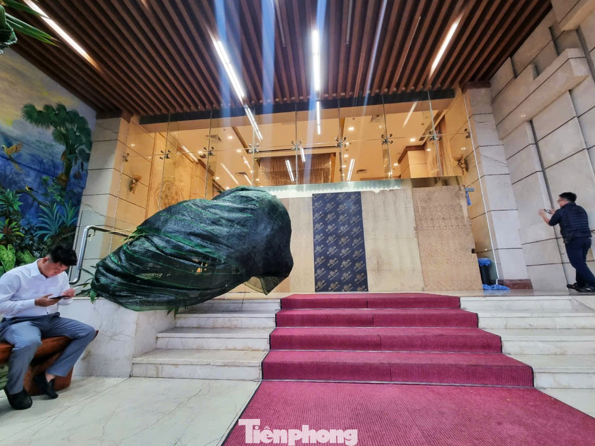 Không chỉ cửa chính được bít kín, cây cối, xe bán hàng, đồ trang trí... trước các khách sạn cũng được trùm buộc kỹ càng. Không chỉ cửa chính được bít kín, cây cối, xe bán hàng, đồ trang trí... trước các khách sạn cũng được trùm buộc kỹ càng.