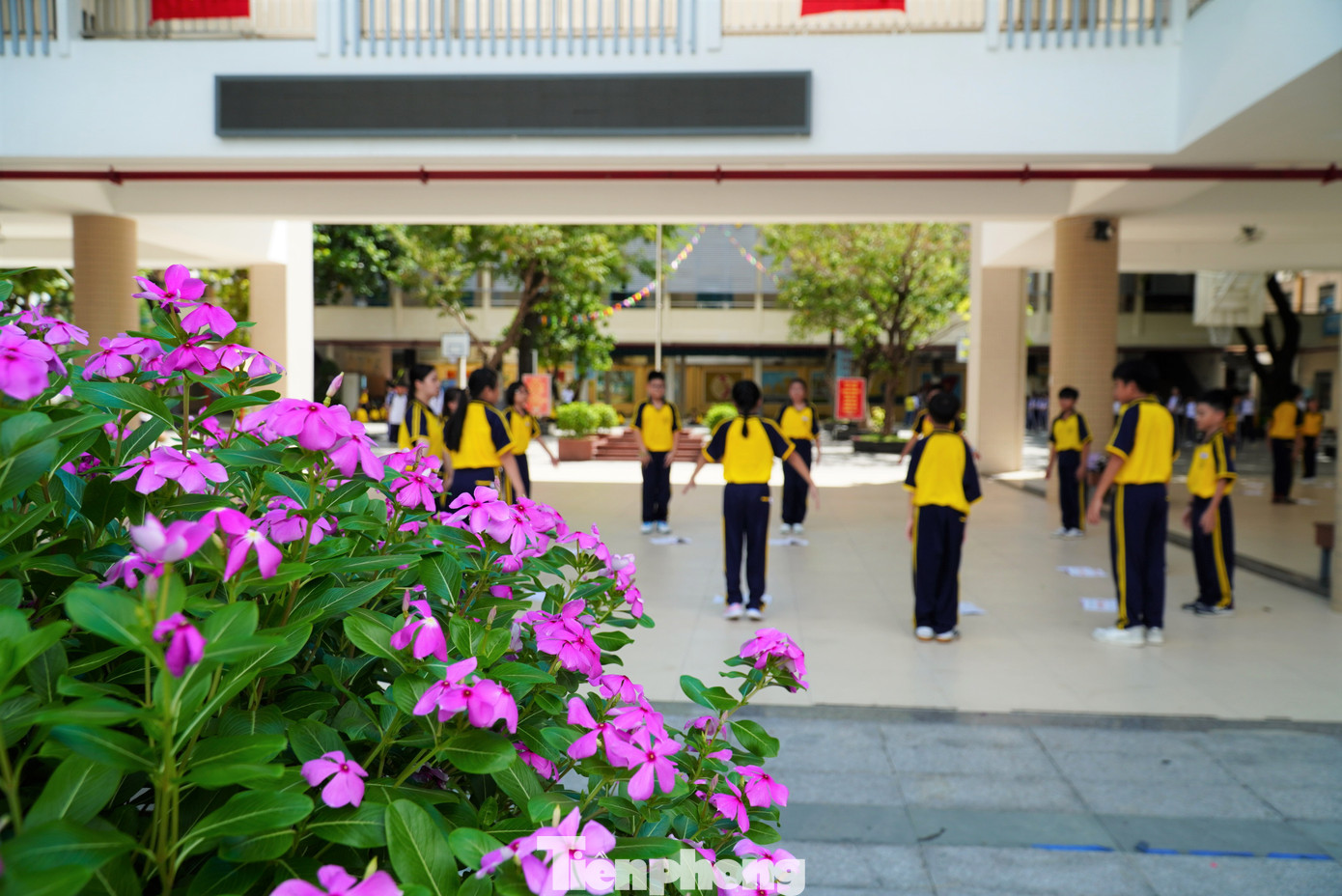 Trường THCS Tây Sơn trông như khách sạn. Mặt tiền có hệ lam chắn nắng từ tầng 3 đổ xuống, xen kẽ là những ban công đầy cây xanh. Ảnh: Thanh Hiền.