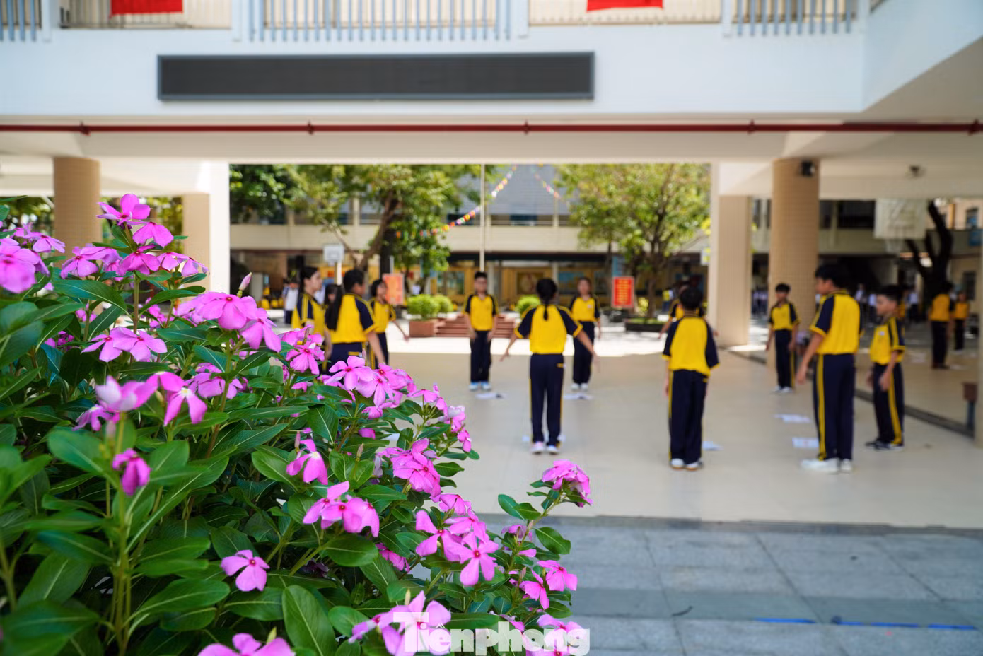 Trường THCS Tây Sơn trông như khách sạn. Mặt tiền có hệ lam chắn nắng từ tầng 3 đổ xuống, xen kẽ là những ban công đầy cây xanh. Ảnh: Thanh Hiền.