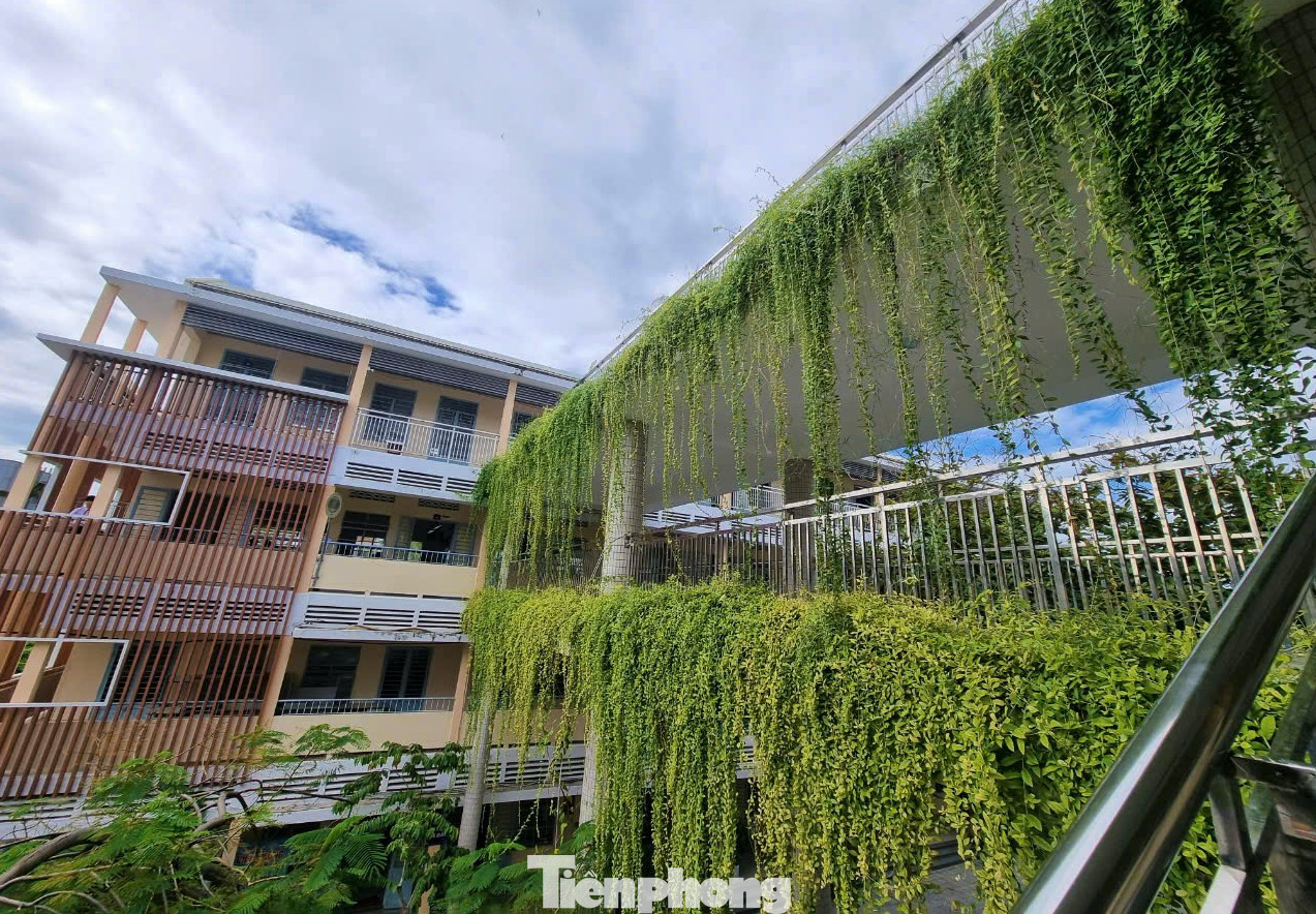 Hành lang nằm ngay mặt tiền đường Trưng Nữ Vương phủ đầy cây xanh đem lại diện mạo mới cho ngôi trường. Ảnh: Thanh Hiền.