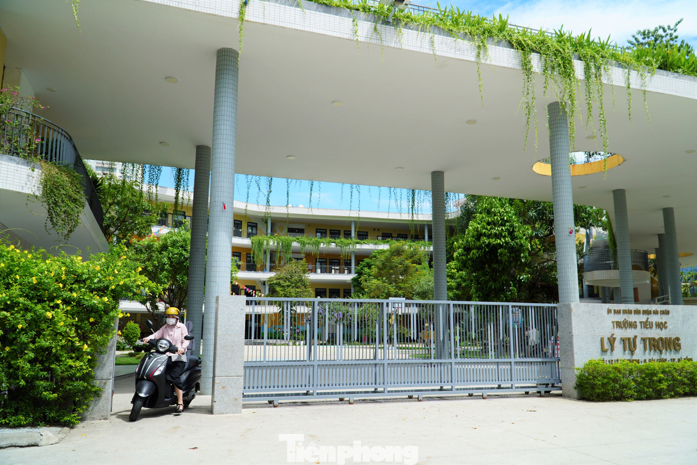 Tiểu học Lý Tự Trọng là một trong những ngôi trường gây ấn tượng với học sinh, phụ huynh Đà Nẵng. Trường nằm ngay cạnh trung tâm hành chính thành phố, có rất nhiều mảng xanh, tạo cảm giác mát mẻ, yên bình. Ảnh: Thanh Hiền.