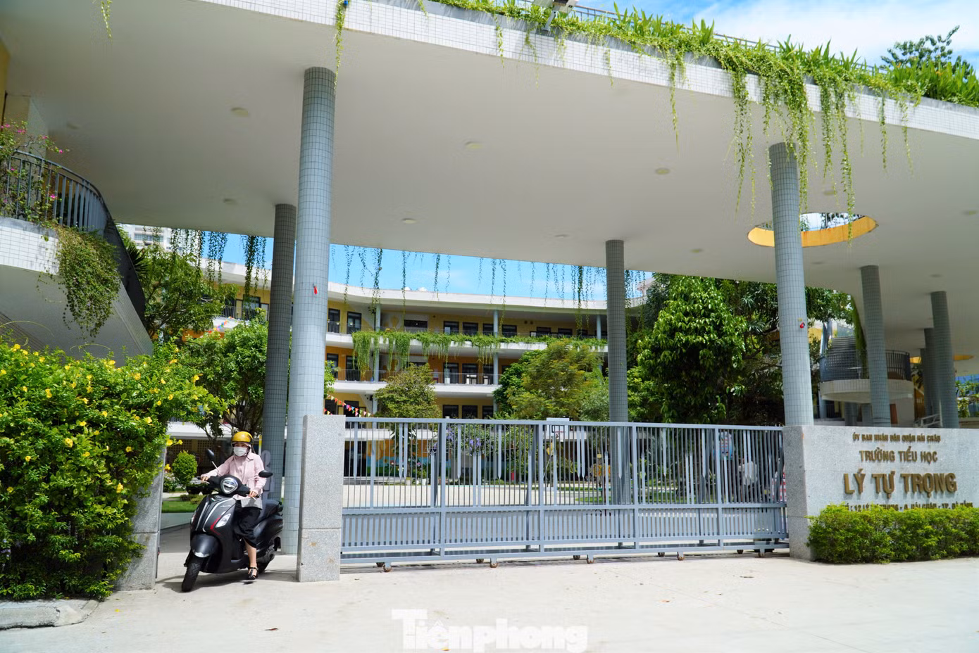 Tiểu học Lý Tự Trọng là một trong những ngôi trường gây ấn tượng với học sinh, phụ huynh Đà Nẵng. Trường nằm ngay cạnh trung tâm hành chính thành phố, có rất nhiều mảng xanh, tạo cảm giác mát mẻ, yên bình. Ảnh: Thanh Hiền.