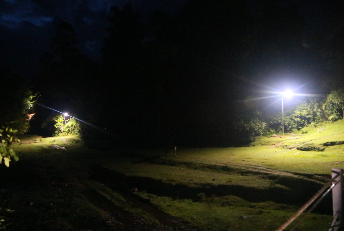 Nhờ sự nỗ lực, thấu hiểu của các bạn trẻ, thôn làng của bà con Ca Dong giữa đại ngàn đã được thắp sáng.