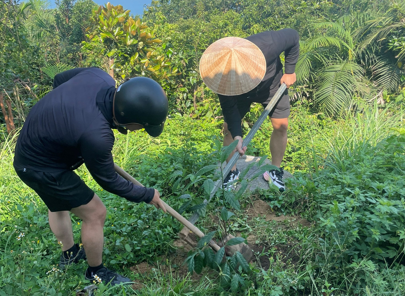 Trồng cây xanh góp phần phủ xanh bán đảo. Sơn Trà được ví như một tấm bia che chắn mọi cơn bão, áp thấp nhiệt đới đổ bộ vào thành phố.