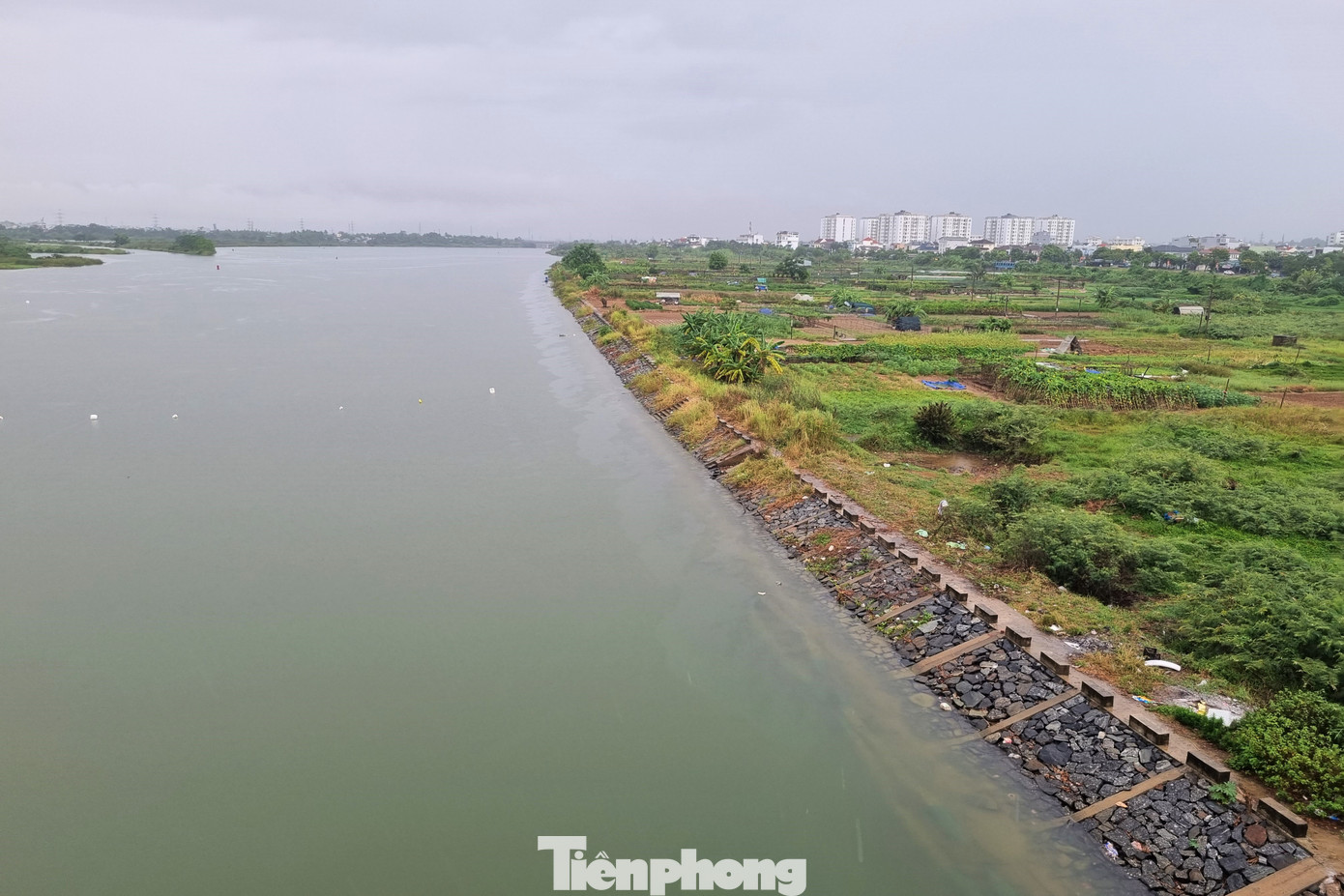 Trận mưa kéo dài đem lại niềm vui cho người dân Đà Nẵng, nhất là bà con nông dân. Ông Trần Văn Hoàng (Giám đốc HTX rau La Hường, quận Cẩm Lệ) phấn khởi: "Lâu nay hạn mặn, nắng gắt không có mưa khiến đất đai khô cằn người dân không thể canh tác. Nhờ mưa lớn mà bây giờ người dân đã có thể làm luống, bắt đầu canh tác cho vụ mùa mới khiến ai nấy đều rất vui mừng". Trong ảnh: Một phần làng rau La Hường bên sông Cẩm Lệ, nước sông đang tăng cao. Ảnh: Thanh Hiền. Trận mưa kéo dài đem lại niềm vui cho người dân Đà Nẵng, nhất là bà con nông dân. Ông Trần Văn Hoàng (Giám đốc HTX rau La Hường, quận Cẩm Lệ) phấn khởi: "Lâu nay hạn mặn, nắng gắt không có mưa khiến đất đai khô cằn người dân không thể canh tác. Nhờ mưa lớn mà bây giờ người dân đã có thể làm luống, bắt đầu canh tác cho vụ mùa mới khiến ai nấy đều rất vui mừng". Trong ảnh: Một phần làng rau La Hường bên sông Cẩm Lệ, nước sông đang tăng cao. Ảnh: Thanh Hiền.