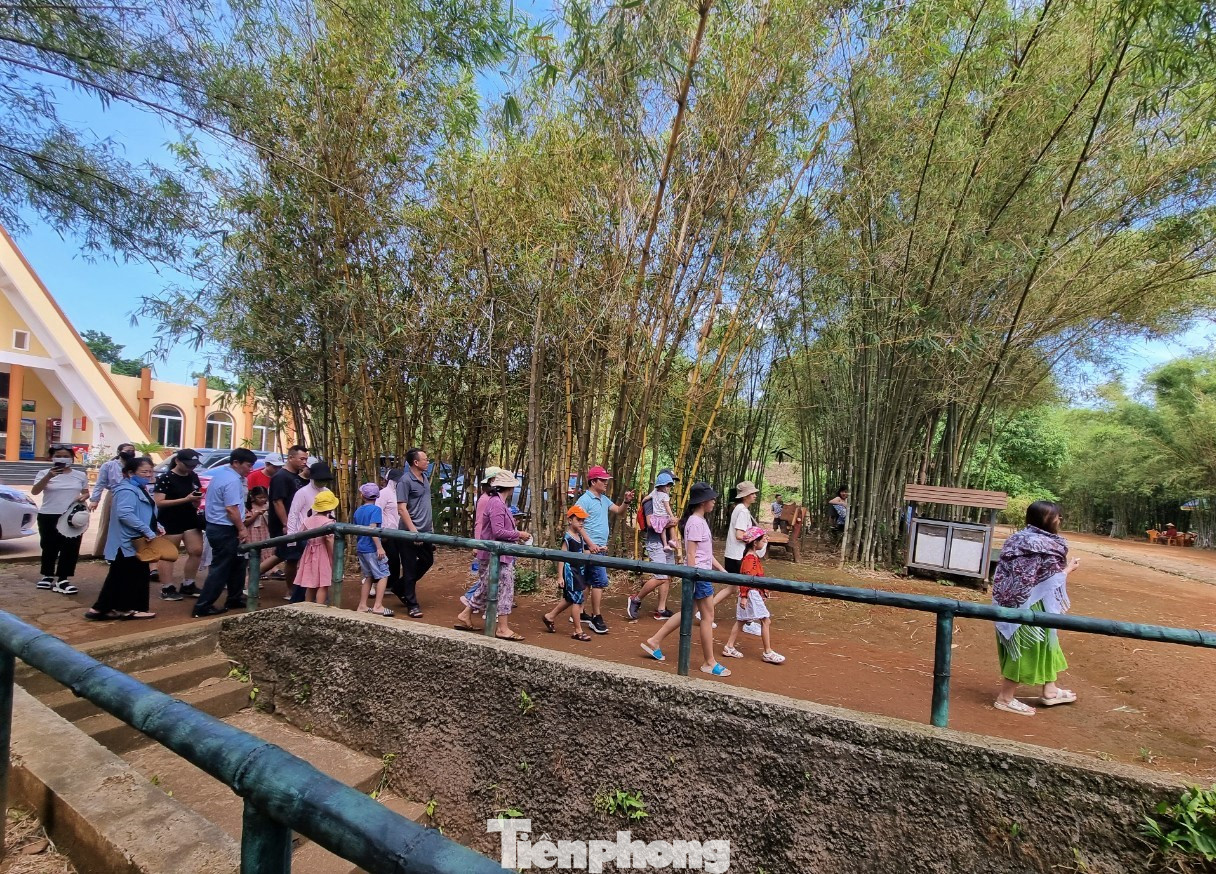 Công trình được đào từ năm 1965 và hoàn thành vào ngày 18 tháng 2 năm 1966. Theo lời thuyết minh viên, có tới 6.000 khối đất đá được đào và đưa ra ngoài qua hai giếng. 10% trong số đó đổ vào hố bom, bụi cây, còn lại chuyển ra biển.