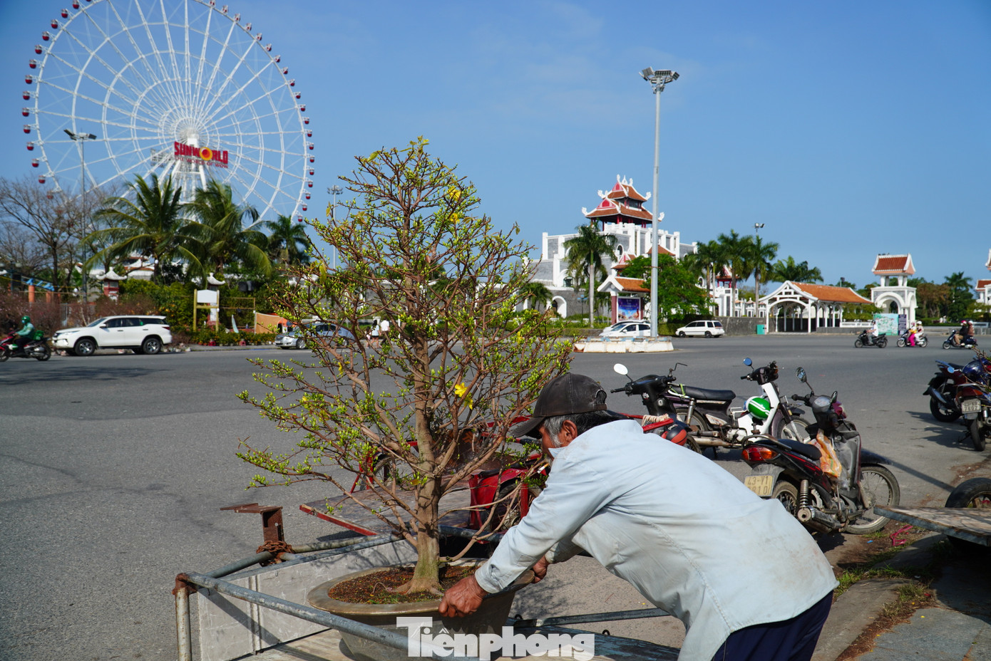 Theo Đài Khí tượng thủy văn Trung Trung Bộ, từ tối 26/1, không khí lạnh ảnh hưởng đến Đà Nẵng. Thành phố có mưa, mưa rào rải rác. Từ ngày 27/1 trời chuyển rét, nhiệt độ thấp nhất phổ biến 16-18oC.