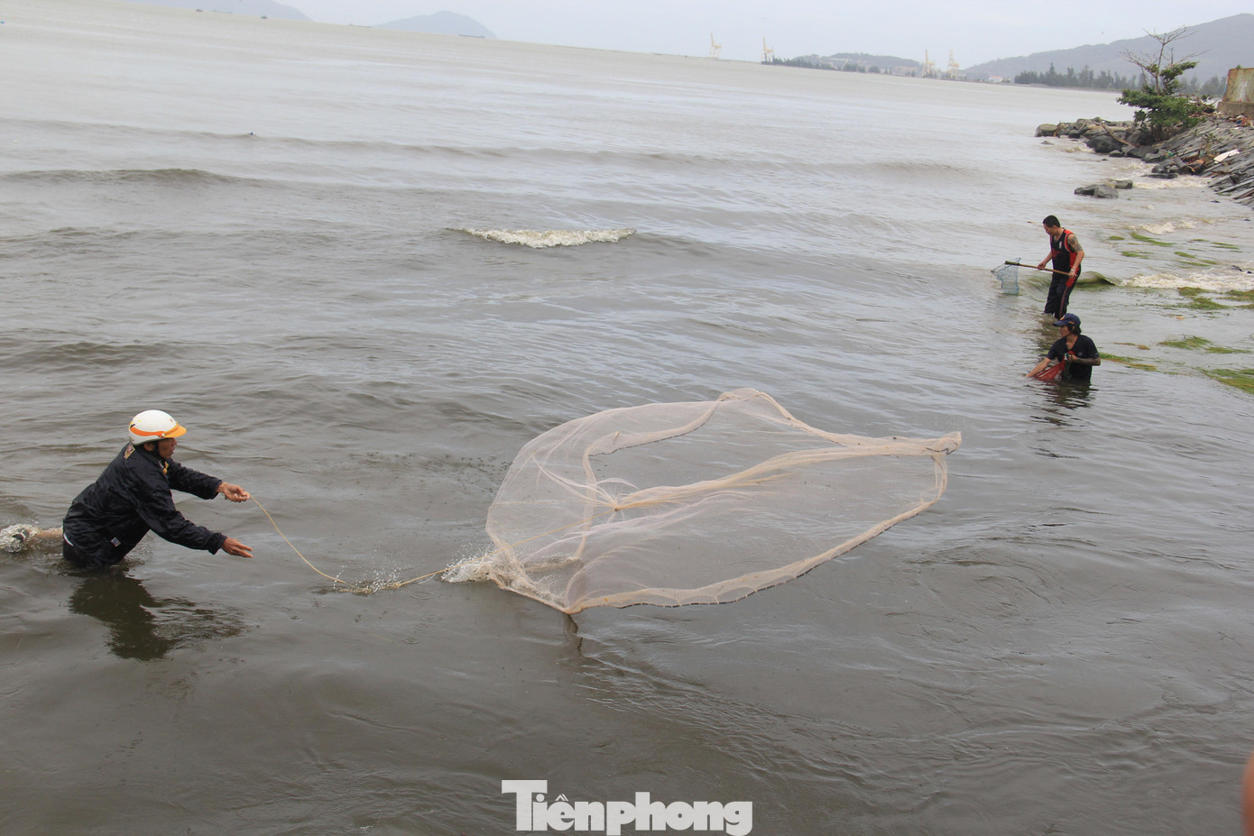 Ngay dưới chân bờ kè, người dân lội xuống vung lưới bắt cá. Có người chỉ cầm theo vợt.
