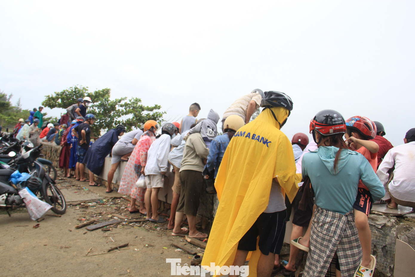 Nhiều người vây kín bờ kè xem bắt cá.