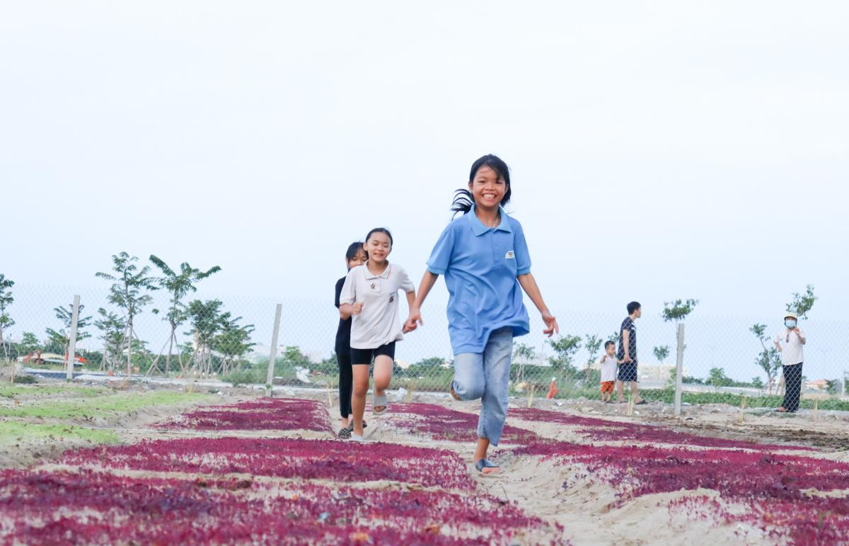 Các bạn nhỏ thích mê khi được thăm thú, chăm sóc khu vườn.