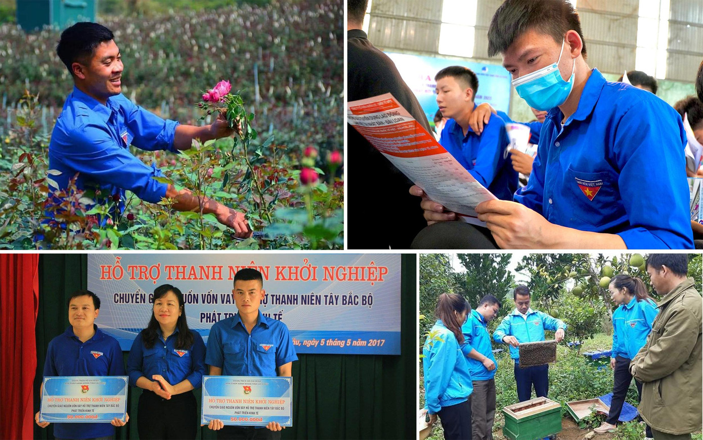 Nhiều hoạt động đồng hành thanh niên tham gia phát triển kinh tế. Ảnh: TĐLC