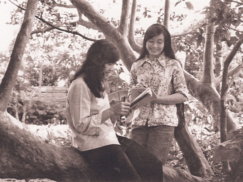 Thiếu nữ Hà Nội bên rặng ổi Quảng Bá (1962)