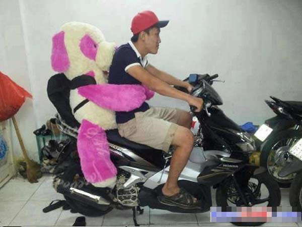  Từ nay anh đã có gấu