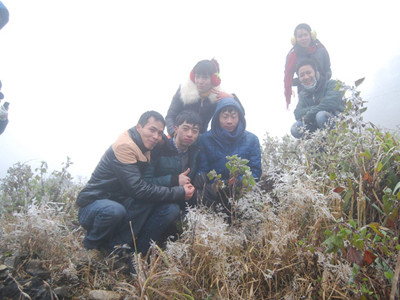 Du khách dưới xuôi 