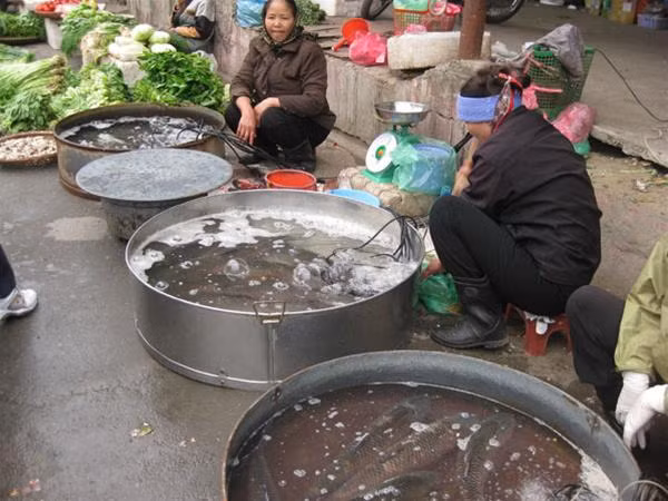 Tăng giá nhiều nhất là các loại thủy, hải sản như tôm, cá
