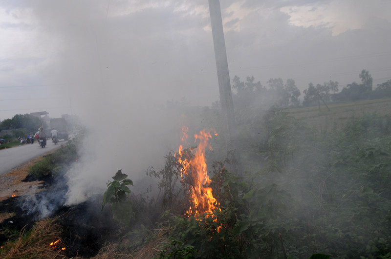 Rơm rạ được tập kết ven các con đường ngoại thành, phơi khô và đốt vào các buổi chiều