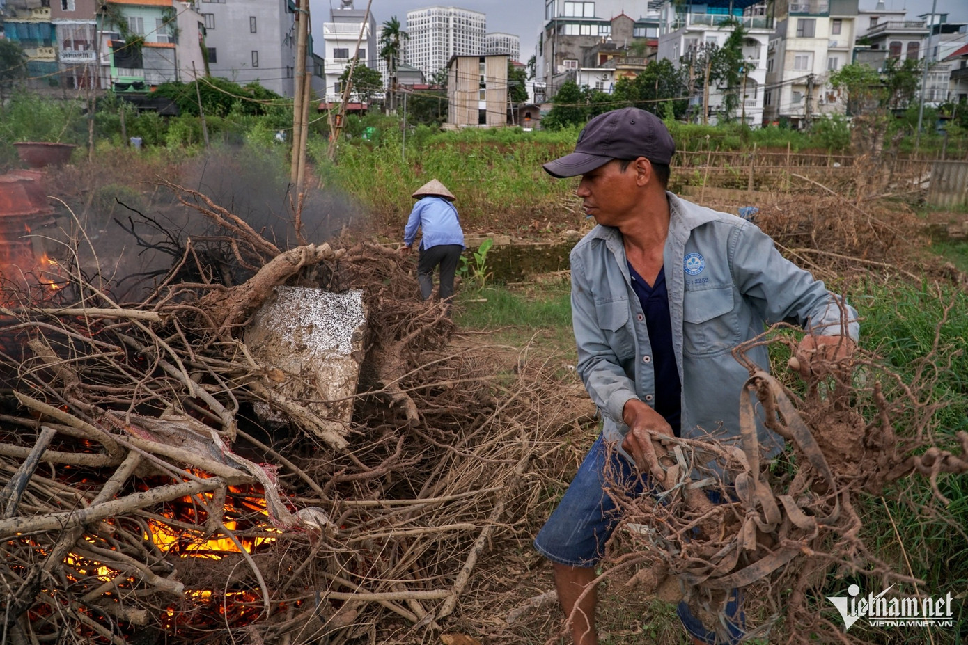 Cùng hoàn cảnh với nông dân ở Phú Thượng, các chủ vườn tại làng đào Nhật Tân đang nỗ lực hồi phục lại vườn sau khi nước lũ rút. Cùng hoàn cảnh với nông dân ở Phú Thượng, các chủ vườn tại làng đào Nhật Tân đang nỗ lực hồi phục lại vườn sau khi nước lũ rút.