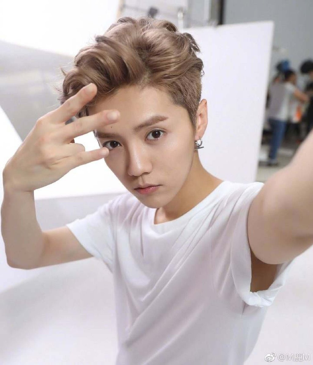 Ca sĩ kiêm diễn viên Lộc Hàm sở hữu lượng người theo dõi lên tới 63 triệu trên Weibo và từng xếp hạng hai trong danh sách Forbes China Celebrity 100 năm 2017. Ảnh: Weibo/@M鹿M.