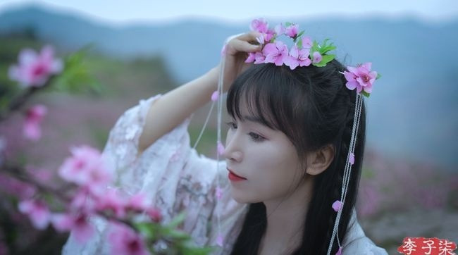 Lý Tử Thất nổi tiếng với những video nấu ăn, cuộc sống thôn quê. Lý Tử Thất nổi tiếng với những video nấu ăn, cuộc sống thôn quê.