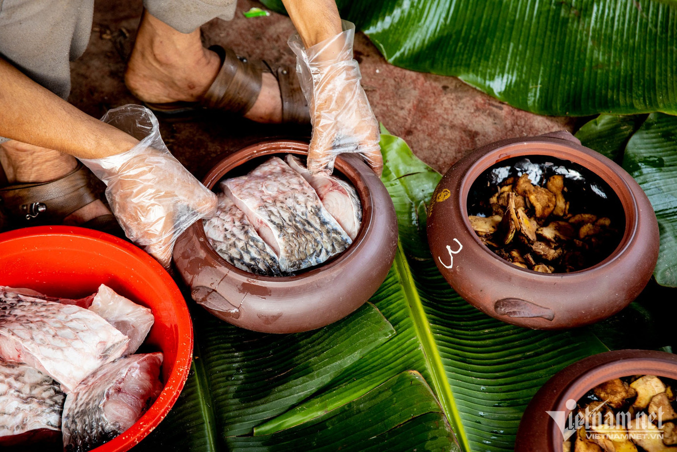 Cá được cắt phù hợp với từng loại nồi sau đó được lót riềng để chống cháy và tạo hương vị đặc trưng.
