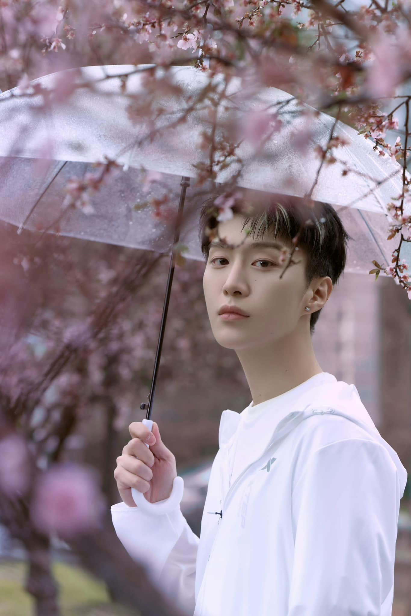 Phạm Thừa Thừa áp lực vì có chị gái quá nổi tiếng. Phạm Thừa Thừa áp lực vì có chị gái quá nổi tiếng.