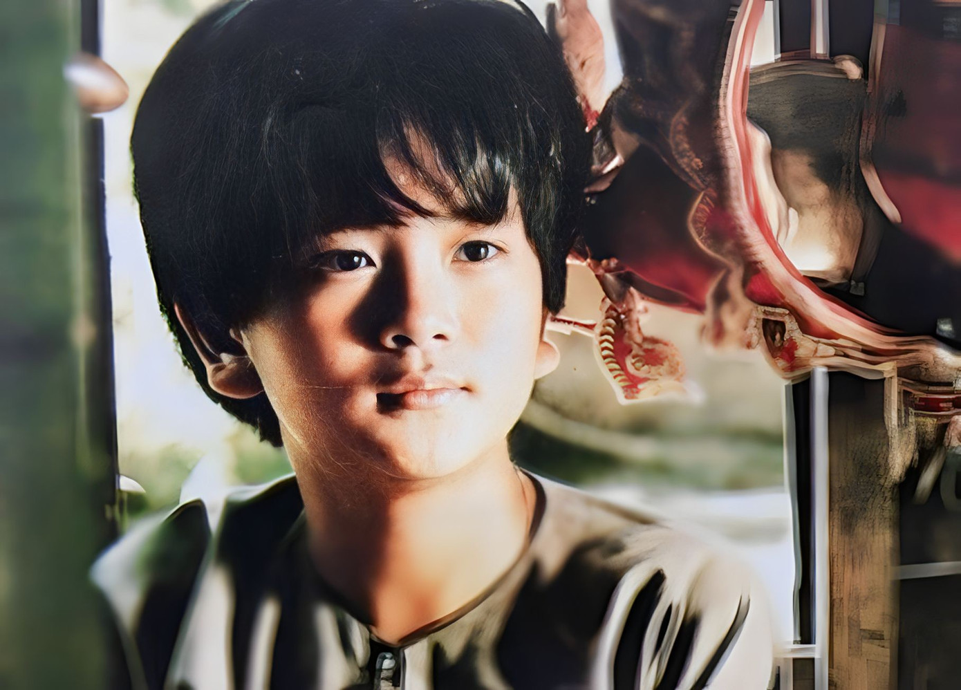 Hùng Thuận vai bé An trong Đất phương Nam. Hùng Thuận vai bé An trong Đất phương Nam.