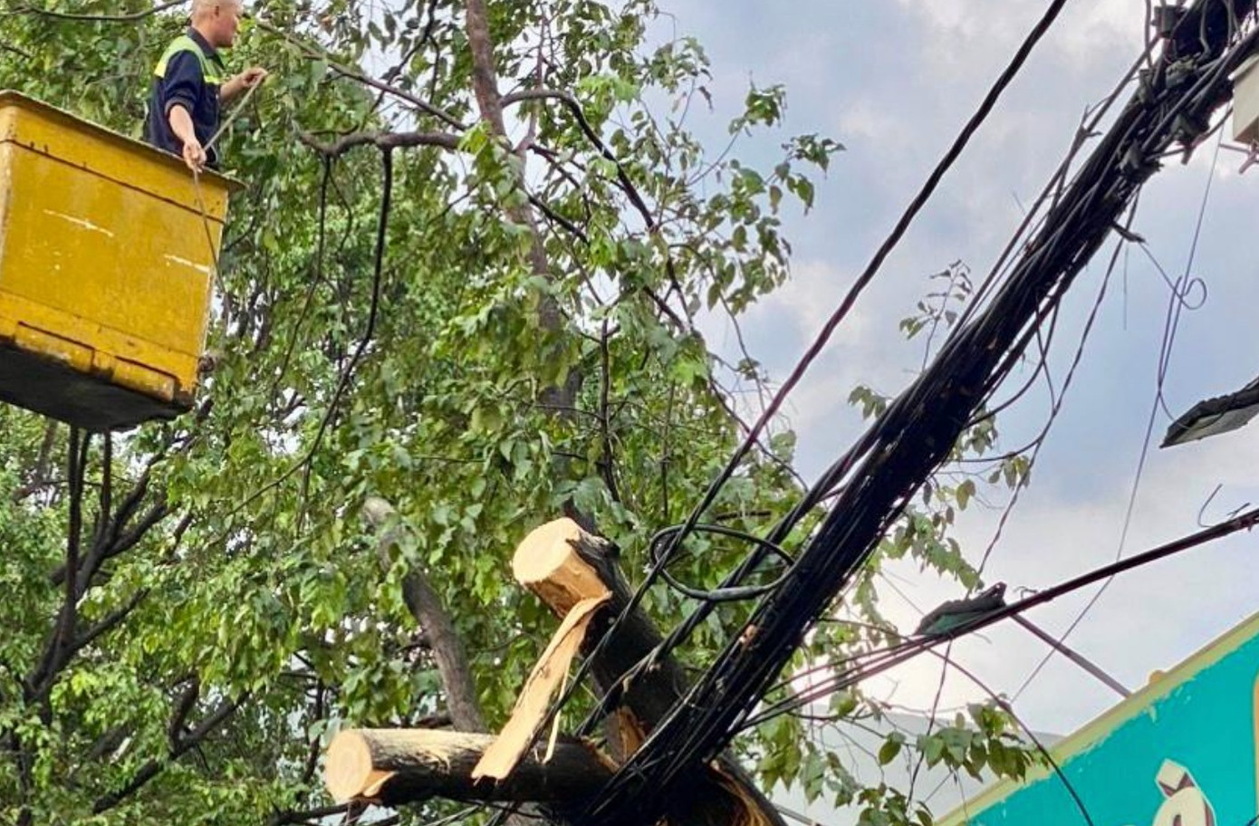 Trong đó, một cây xanh lớn trên đường Nguyễn Ái Quốc, đoạn qua phường Hố Nai gãy đổ đè lên hệ thống dây viễn thông và đường điện hạ thế nhưng may mắn không gây ra sự cố lưới điện. Điện lực Biên Hòa đã phải cắt điện 500 hộ dân để xử lý cây xanh.