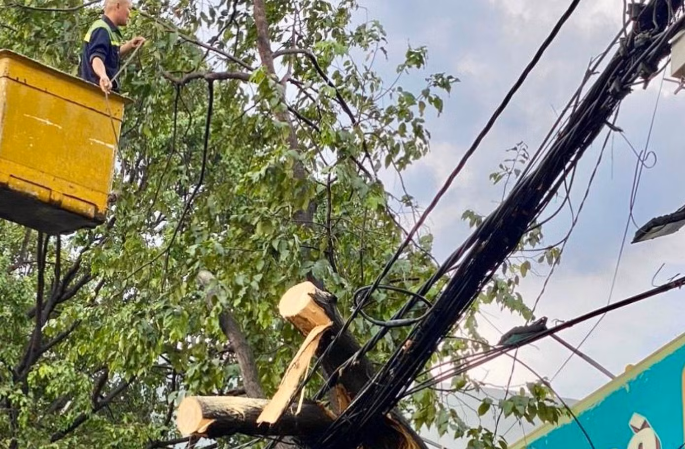 Trong đó, một cây xanh lớn trên đường Nguyễn Ái Quốc, đoạn qua phường Hố Nai gãy đổ đè lên hệ thống dây viễn thông và đường điện hạ thế nhưng may mắn không gây ra sự cố lưới điện. Điện lực Biên Hòa đã phải cắt điện 500 hộ dân để xử lý cây xanh.