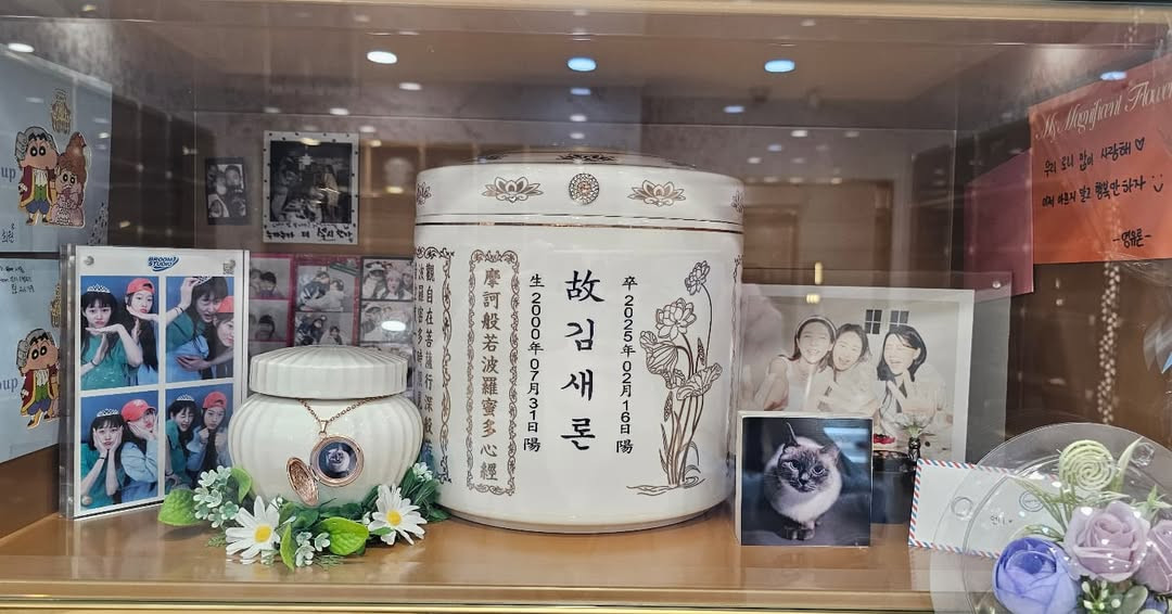 Nơi Kim Sae Ron an nghỉ. Nơi Kim Sae Ron an nghỉ.