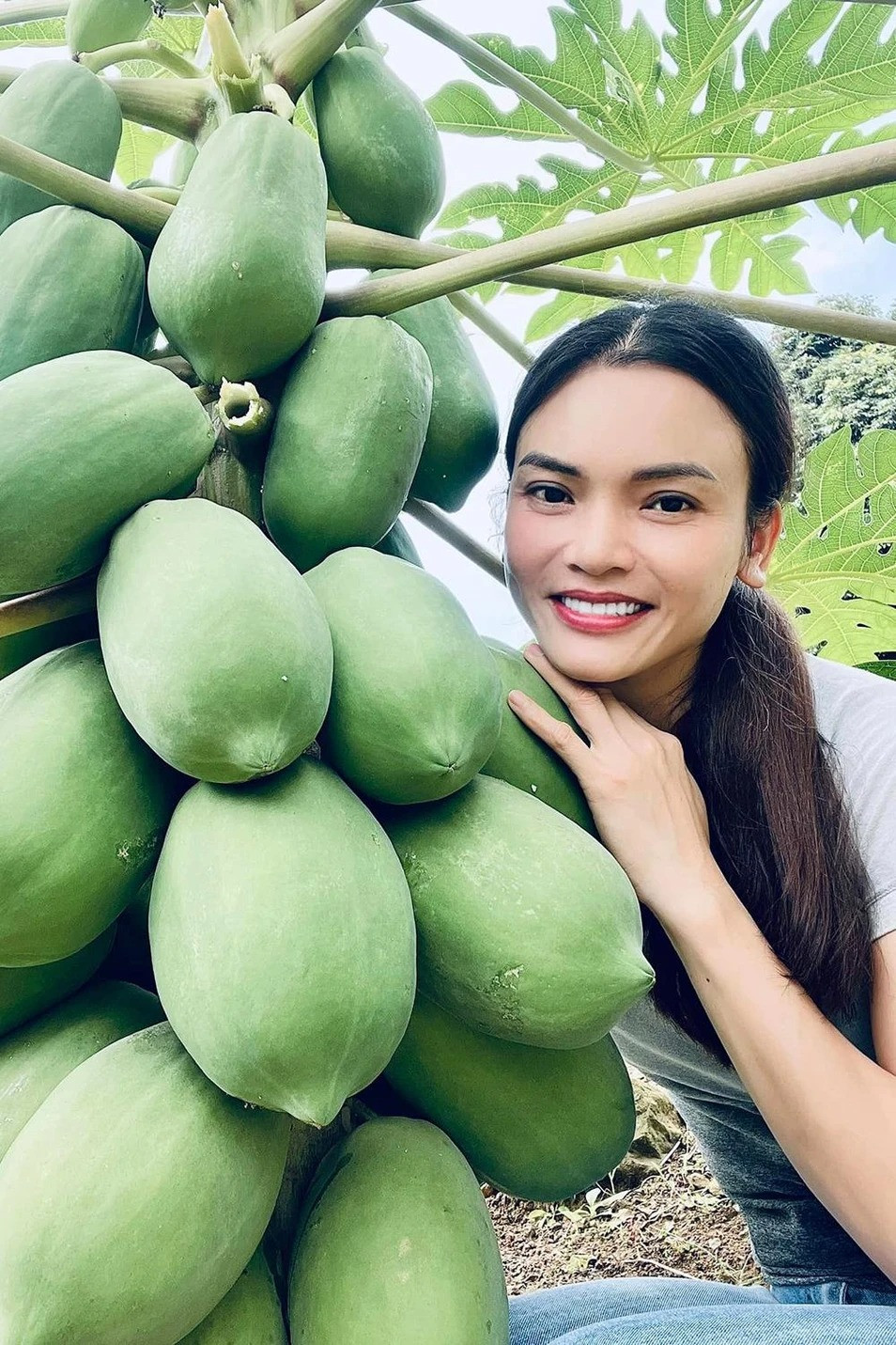 Vui thú điền viên, Phạm Phương Thảo thường xuyên chia sẻ khu vườn trồng nhiều hoa trái, đủ loại cây ăn quả như bưởi, đu đủ, mít…